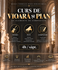 Curs de Vioarǎ&Pian - Copii (Abonament Lunar 4h/sǎpt. )
